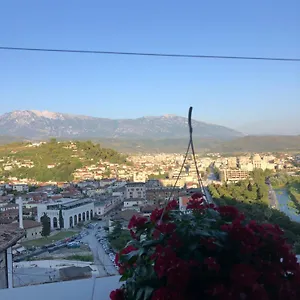 Lion , Berat Albanien